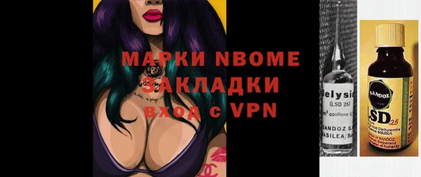 индика Алзамай