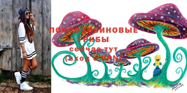 индика Алзамай