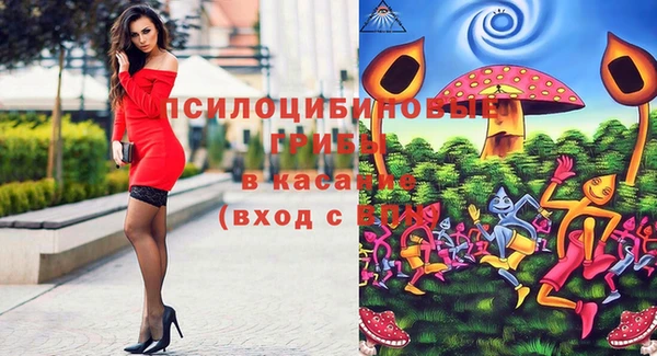 меф Алексин
