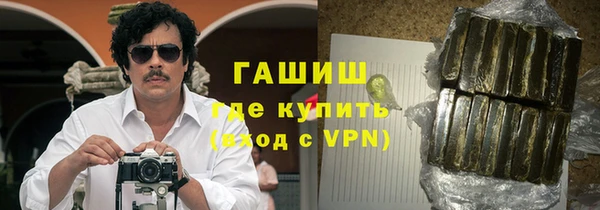индика Алзамай