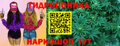 крисы Кинель