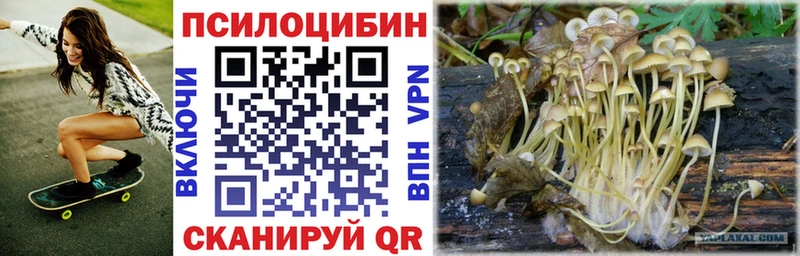 закладки  Лесной  Псилоцибиновые грибы Cubensis 