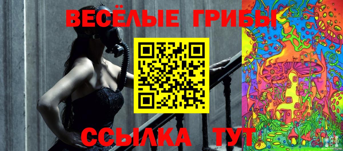 Галлюциногенные грибы Cubensis  Вход с VPN  Псилоцибиновые грибы GOLDEN TEACHER  Лесной 