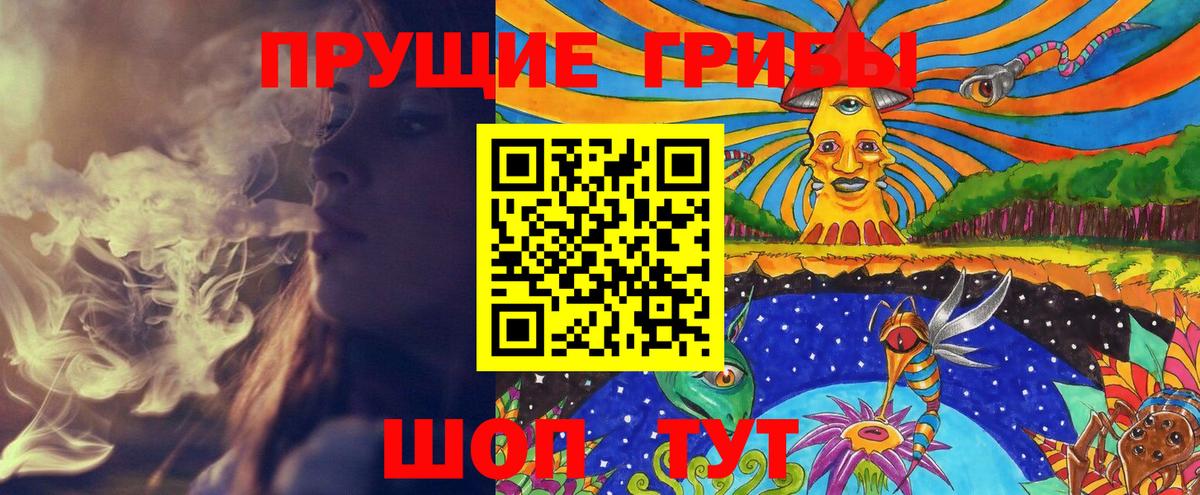 Галлюциногенные грибы Cubensis Лесной